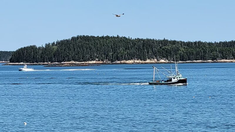McClellan Park and campground - Milbridge, ME