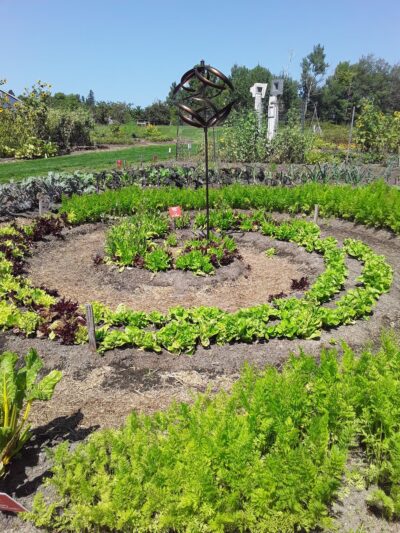 Milbridge Commons Wellness Park - Milbridge, ME