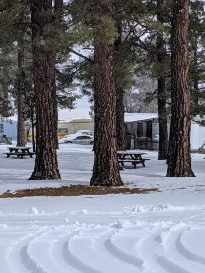 Honey Lake Campground Milford, CA - Milford, CA