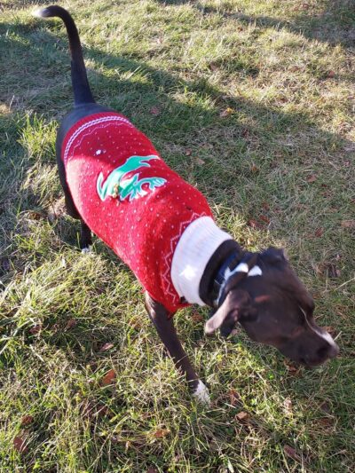 Milford Bike Trails - Milford, IL