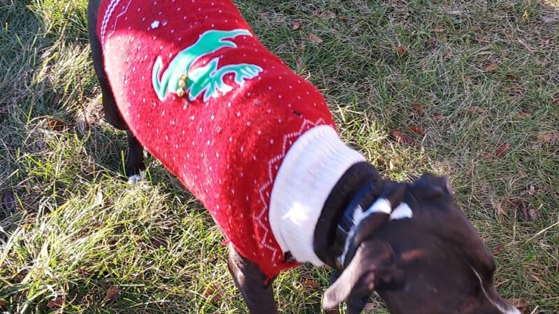 Milford Bike Trails - Milford, IL