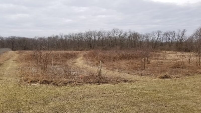 Milford Bike Trails - Milford, IL