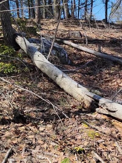 Tucker Brook Trail Parking - Milford, NH