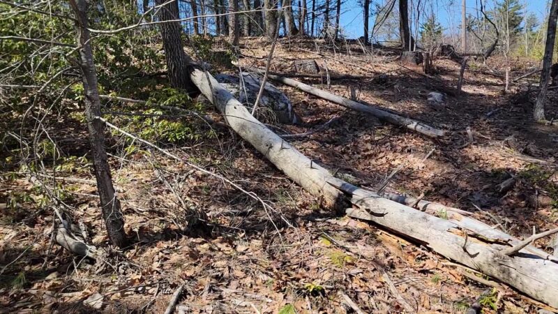 Tucker Brook Trail Parking - Milford, NH