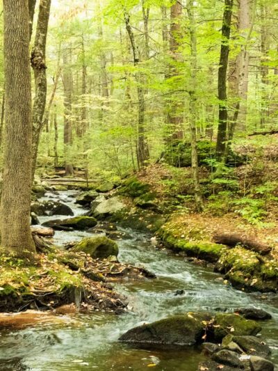 Tucker Brook Trail Parking - Milford, NH