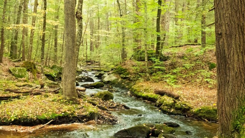 Tucker Brook Trail Parking - Milford, NH