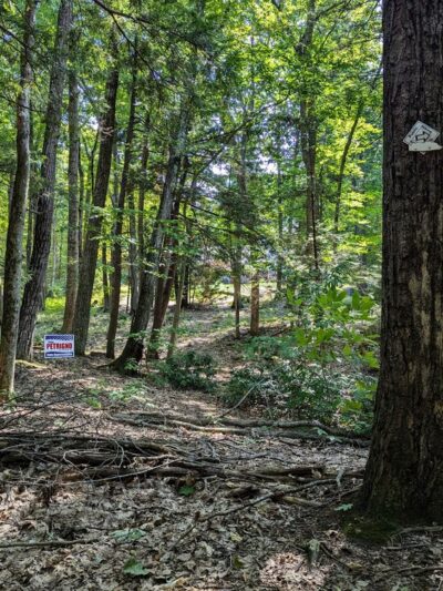 Tucker Brook Trail Parking - Milford, NH