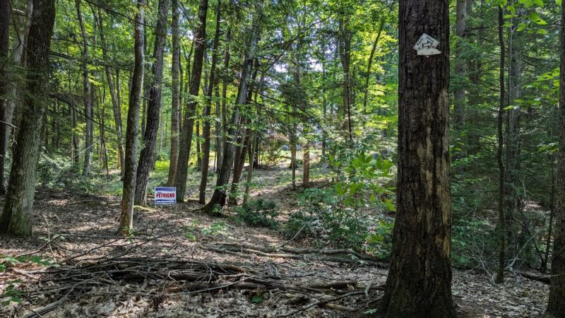 Tucker Brook Trail Parking - Milford, NH