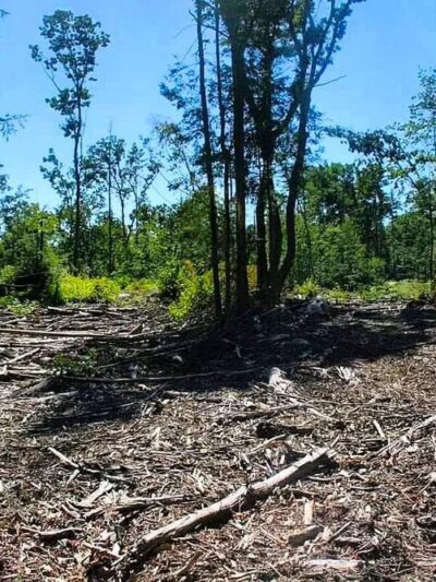 Tucker Brook Trail Parking - Milford, NH