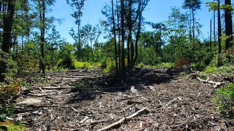 Tucker Brook Trail Parking - Milford, NH