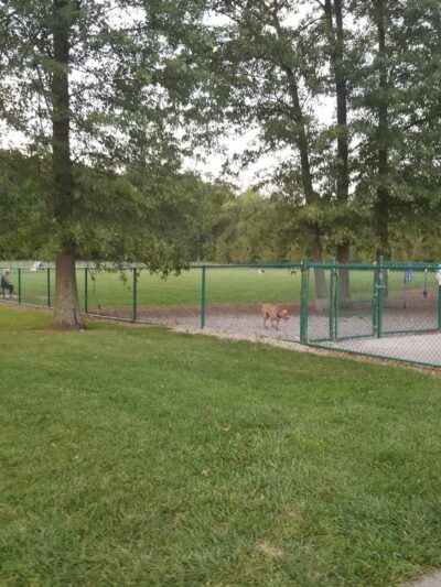 Bark Park at Miami Meadows - Milford, OH