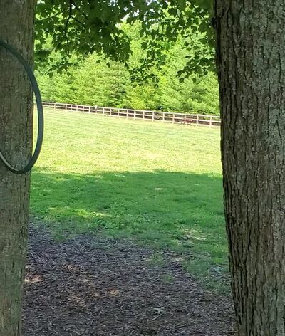 Bark Park at Miami Meadows - Milford, OH