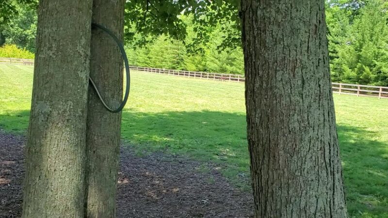 Bark Park at Miami Meadows - Milford, OH