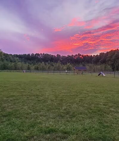 Bark Park at Miami Meadows - Milford, OH