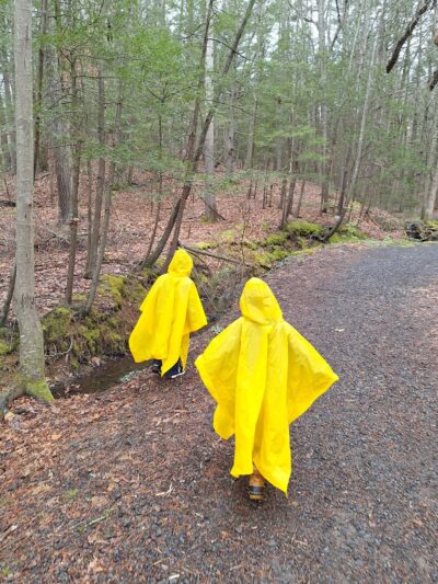 Milford Knob Trailhead - Milford, PA
