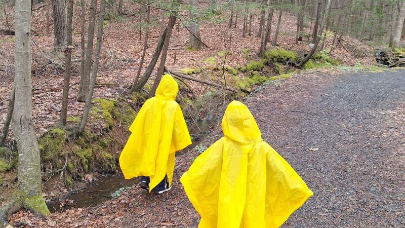 Milford Knob Trailhead - Milford, PA