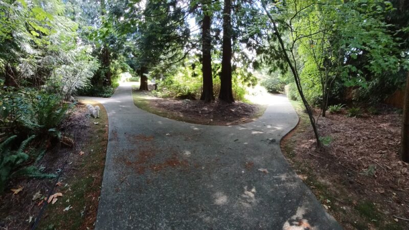 Central Community Park - Mill Creek, WA