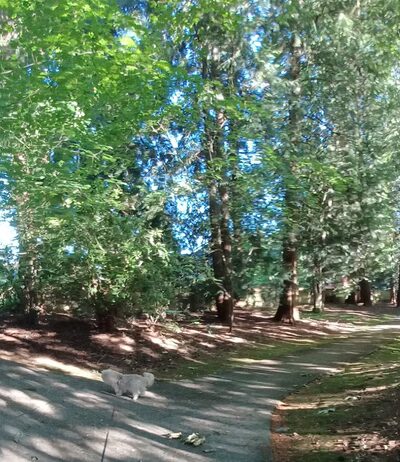 Central Community Park - Mill Creek, WA