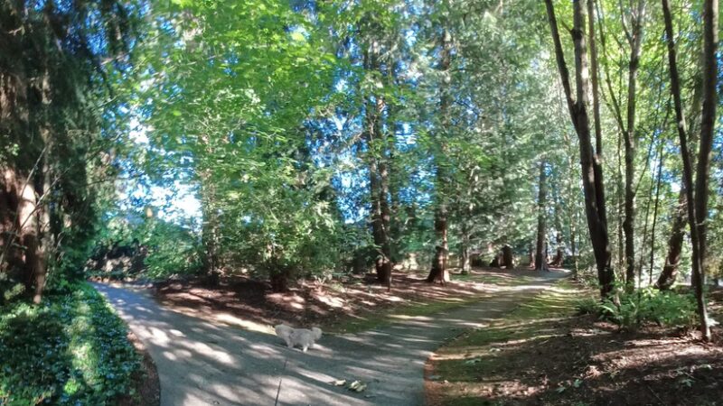 Central Community Park - Mill Creek, WA