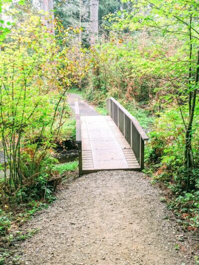 Chatham Park Wetlands Trail - Mill Creek, WA
