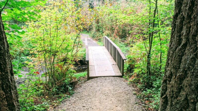 Chatham Park Wetlands Trail - Mill Creek, WA