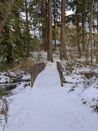 Chatham Park Wetlands Trail - Mill Creek, WA