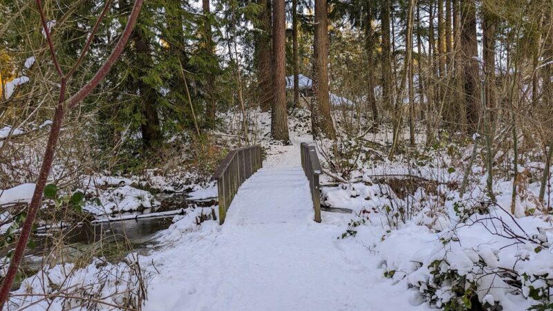 Chatham Park Wetlands Trail - Mill Creek, WA