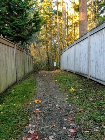 Chatham Park Wetlands Trail - Mill Creek, WA