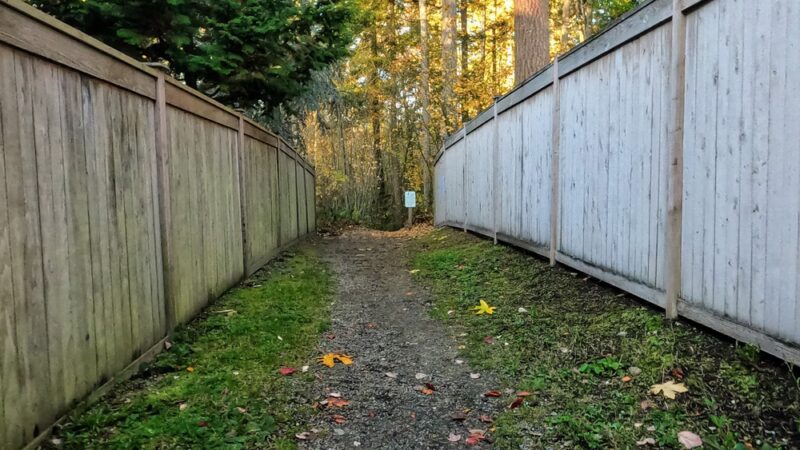 Chatham Park Wetlands Trail - Mill Creek, WA