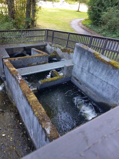 Chopper Park - Mill Creek, WA