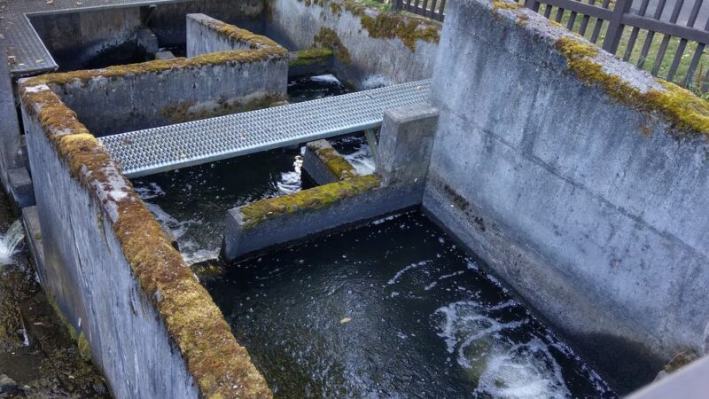 Chopper Park - Mill Creek, WA