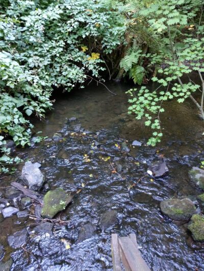 Chopper Park - Mill Creek, WA