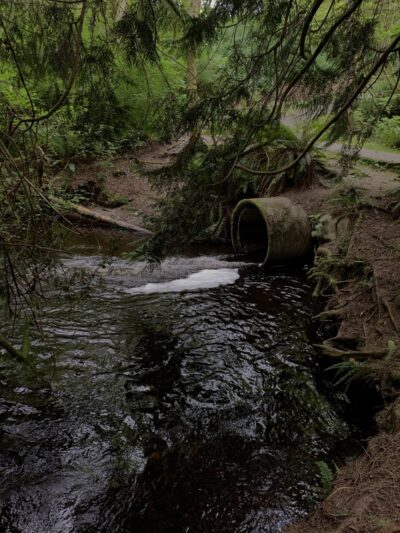 Chopper Park - Mill Creek, WA