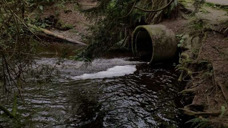 Chopper Park - Mill Creek, WA