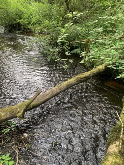 Chopper Park - Mill Creek, WA