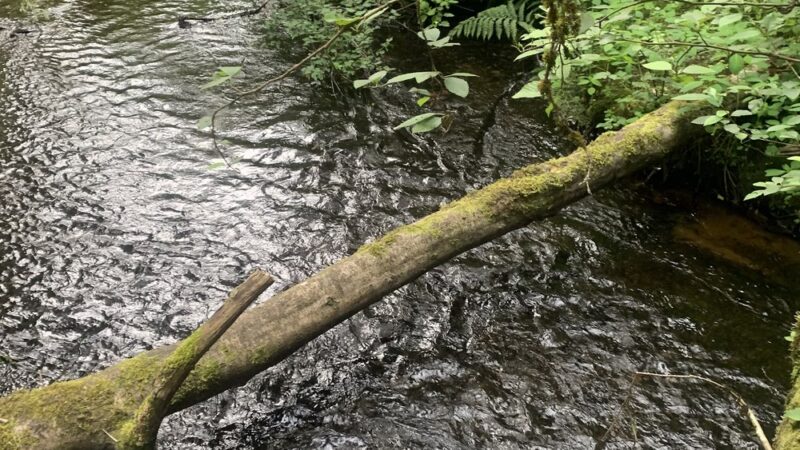 Chopper Park - Mill Creek, WA