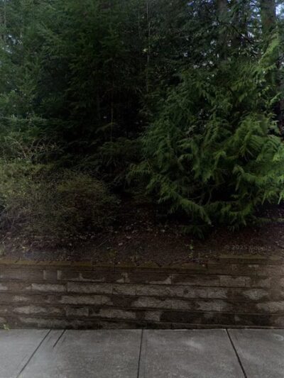 Cottonwood Park - Mill Creek, WA