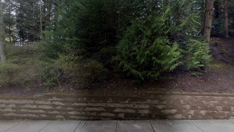 Cottonwood Park - Mill Creek, WA