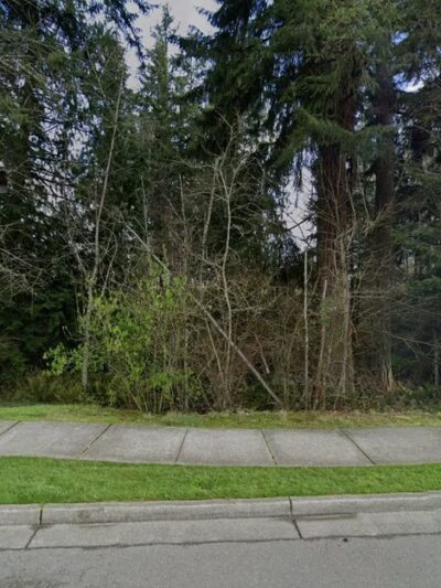 Cougar Park - Mill Creek, WA