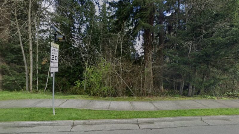 Cougar Park - Mill Creek, WA