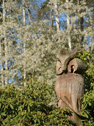 Mill Creek Library Park - Mill Creek, WA