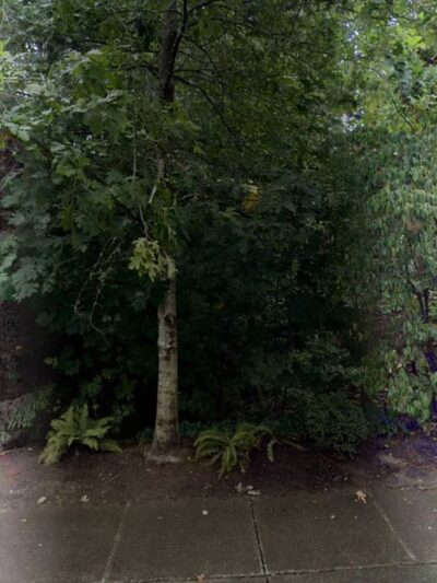 Nickel Creek Park - Mill Creek, WA