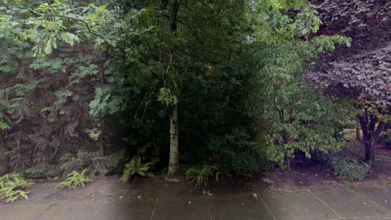 Nickel Creek Park - Mill Creek, WA