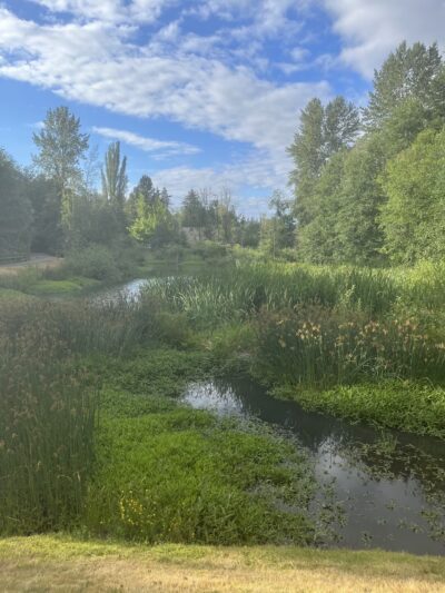 North Creek Trail Pond - Mill Creek, WA