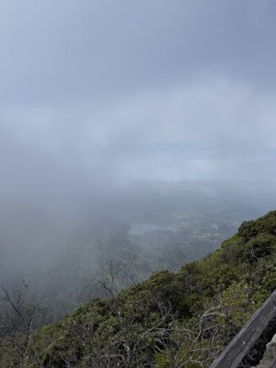 Temelpa Trail - Mill Valley, CA