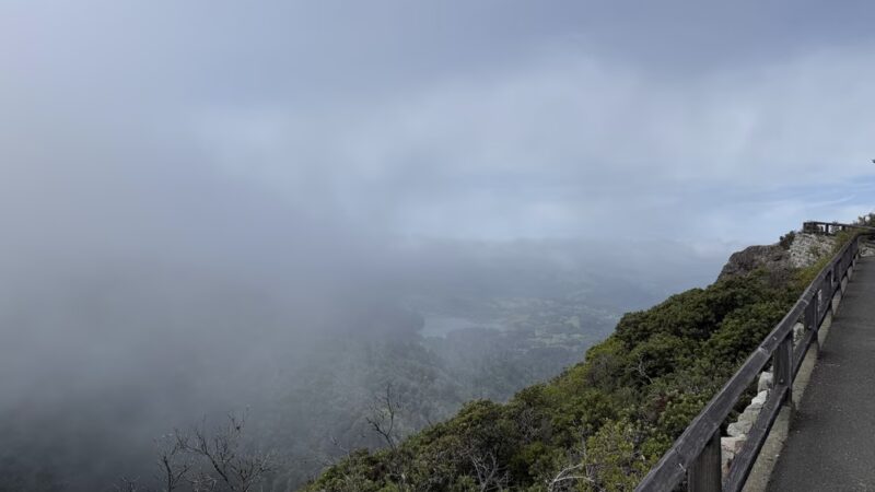 Temelpa Trail - Mill Valley, CA