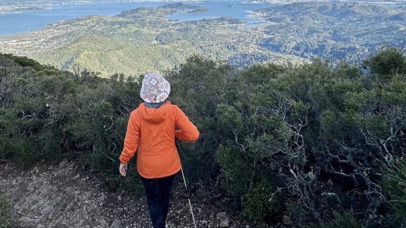 Temelpa Trail - Mill Valley, CA