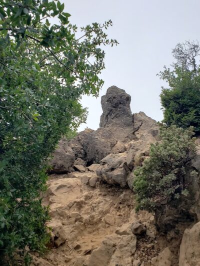 Temelpa Trail - Mill Valley, CA