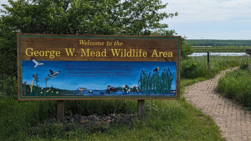 George W. Mead State Wildlife Area - Milladore, WI