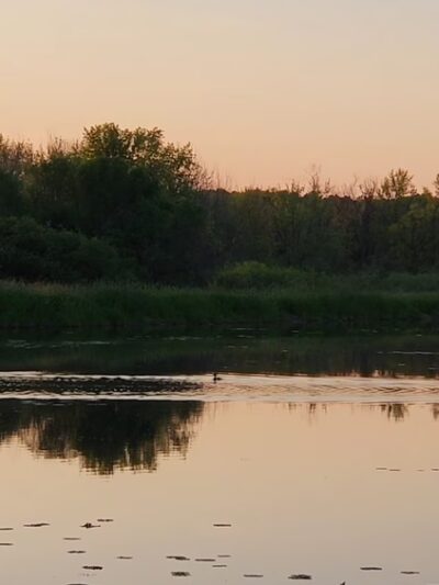 George W. Mead State Wildlife Area - Milladore, WI